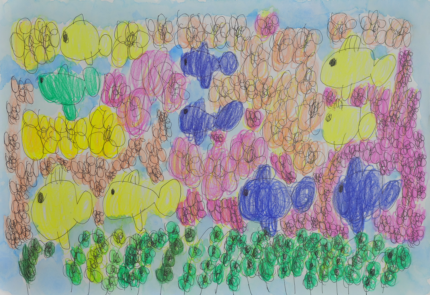 水の中の世界 水の中の世界